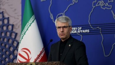 بقائی، اسماعیل بقائی، اموال آزادشده ایران، دارایی های بلوکه شده، سخنگوی وزارت خارجه، صرفه و صلاح کشور، خرید کالا، وزارت کشاورزی، محدودیت ارزی، آزادسازی دارایی، نشست خبری